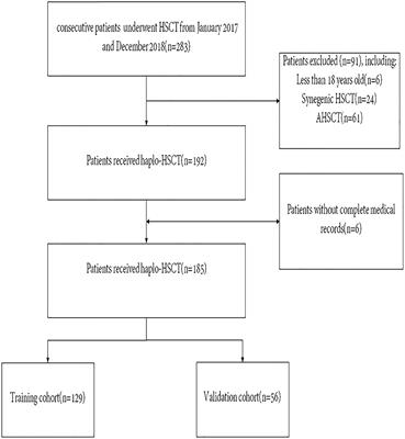 Pre-transplant CRP–albumin ratio as a biomarker in patients receiving haploidentical allogeneic hematopoietic transplantation: Developing a novel DRCI-based nomogram